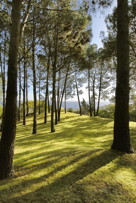 Hotel del Lago Golf&Art Resort Punta Ballena Esterno foto